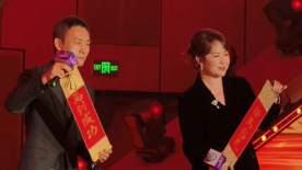 精品一区二区三区视频在线观看